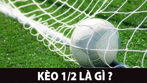 Kèo 1/2 Là Gì? Cách Chơi Kèo 1/2 Nhà Cái 77win Trực Tuyến